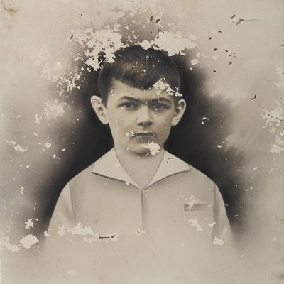 Ravage (Vinyl / 12" Album)