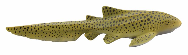 Collecta Sea Life Medium Zebra Shark