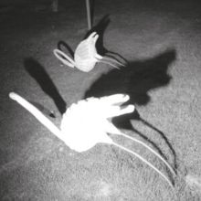 A Mimesis of Nothingness (Vinyl / 12" Album)