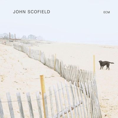 John Scofield (Vinyl / 12" Album)