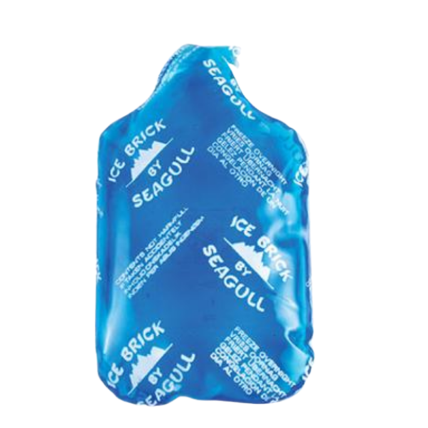 Seagull - Plastic Ice Brick- Pack Of 2