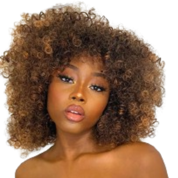 Afro Kinky Curly Synthetic Hair Wig, Ombre Curly Fringe Wig