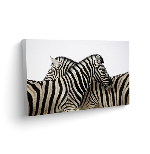 Print on Canvas - Art - Zebra