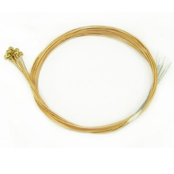 Stagg AC1254PH Phosphor Bronze Acoustic Set of 6 Strings- Light