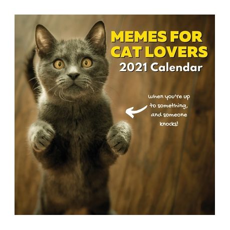 Happy Birthday Cat Lover Meme Memes For Cat Lovers 2021 Calendar: Funny Gifts For Owners, Stocking  Fillers, Stuffers, Men, Women, Girls, Boys, Teens, Kids Birthday Or  Christmas Pre | Buy Online In South Africa | Takealot.com