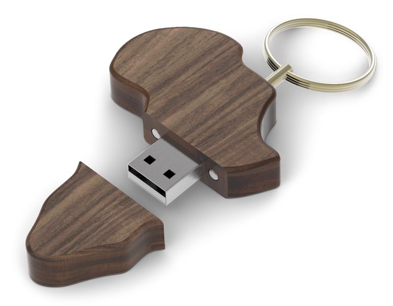 Andy Cartwright Wood Africa USB 16GB