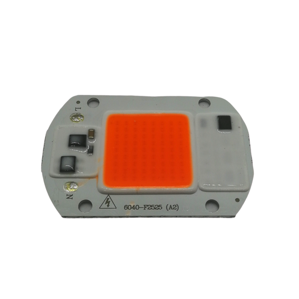 20W COB LED - Red/Blue