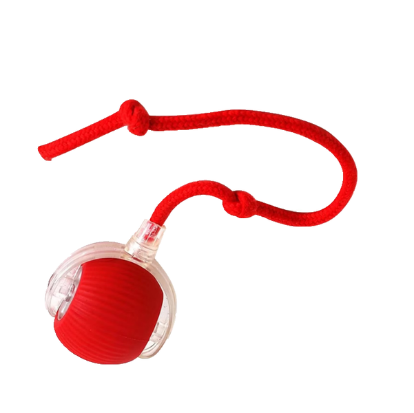 Smart Interactive Toy For Cats, Toy For Bored Adult Indoor Cats, Plastic
