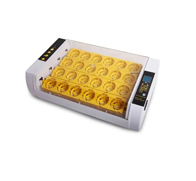 Automatic 24 Egg Incubator