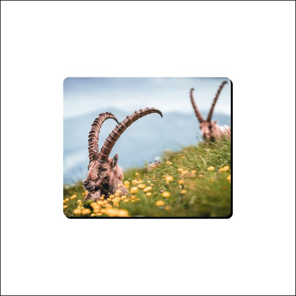 Mouse Pad - Goats