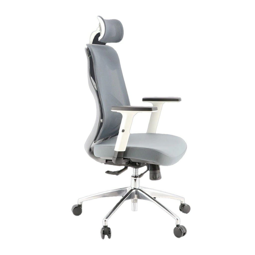 WP Ergonomic Adjustable Office Chair with Lumbar Support | Buy Online 