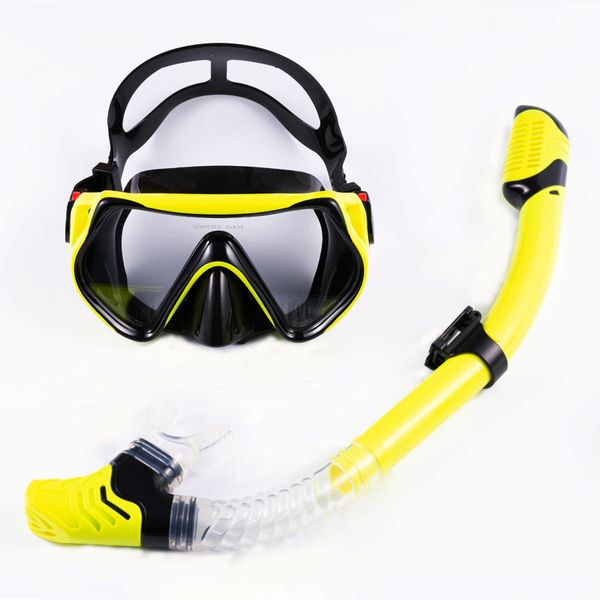 Adult Anti-Fog Diving Mask and Dry Snorkel Set