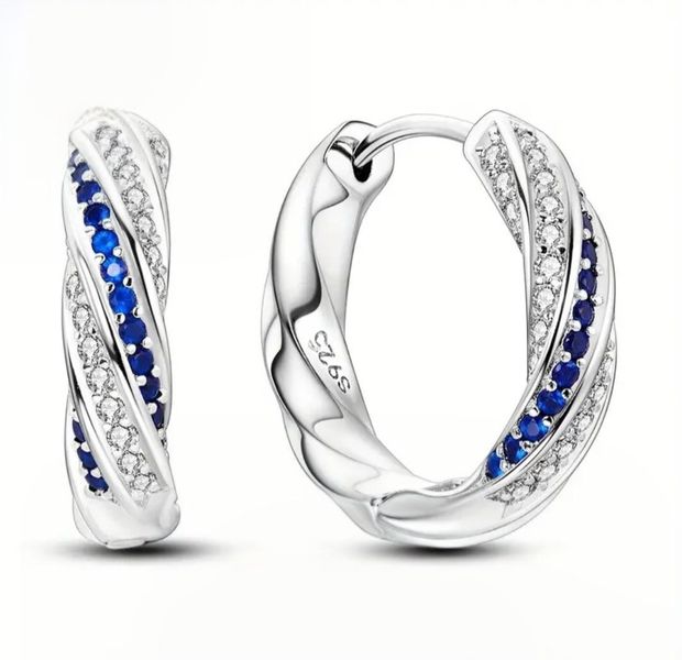Elegant 925 Sterling Silver Hoop Earrings