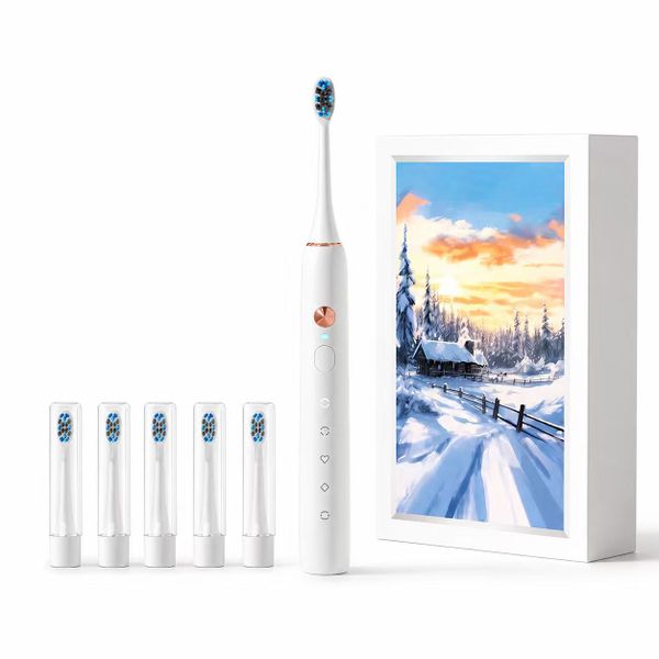 Rechargeable Home Magnetic Levitation Sonic Electric Toothbrush