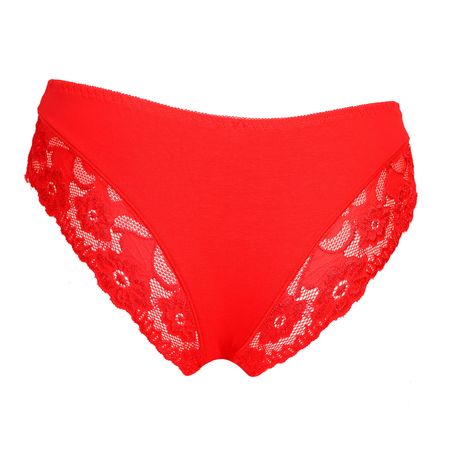 Lace Underwear for Women Breathable Sexy Bikini Cheeky Panties