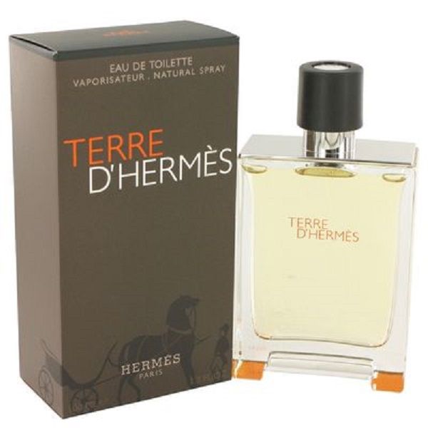Hermes Terre D'Hermes Eau De Toilette (100ml)