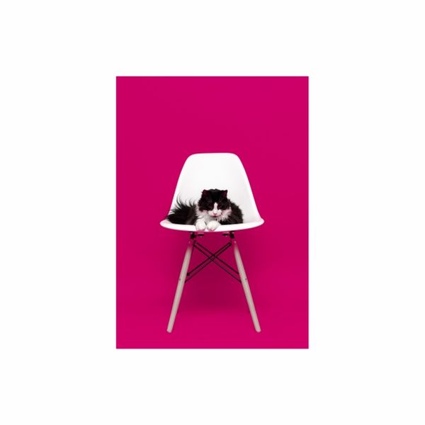 Meow Pink cat - A1 poster