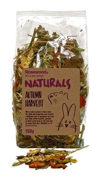 Rosewood Autumn Harvest