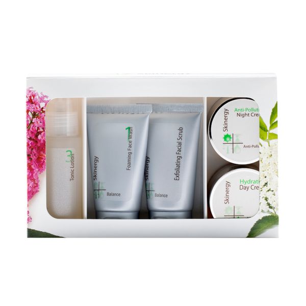 Skinergy Normal Skin Travel Kit
