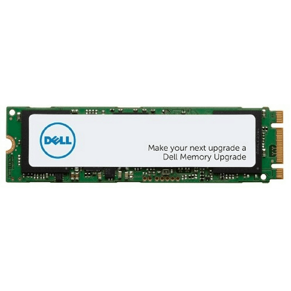 Dell M.2 PCIe NVMe 1TB Class 40 2280 Solid State Drive