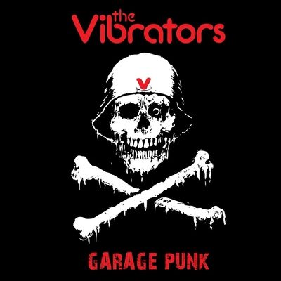 Garage Punk (Vinyl / 12" Album)