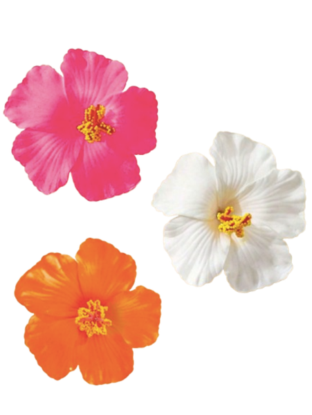 Hawaiian Flower Hair Clip - Orange, Pink and White - Set of 3
