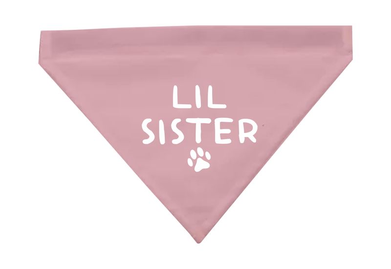 My Paws - Dog Bandana with Removeable Collar - Lil Sister