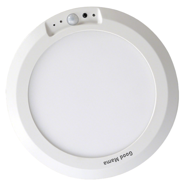GoodMama Ceiling Light with Remote Magnetic Motion Sensor for Living Room