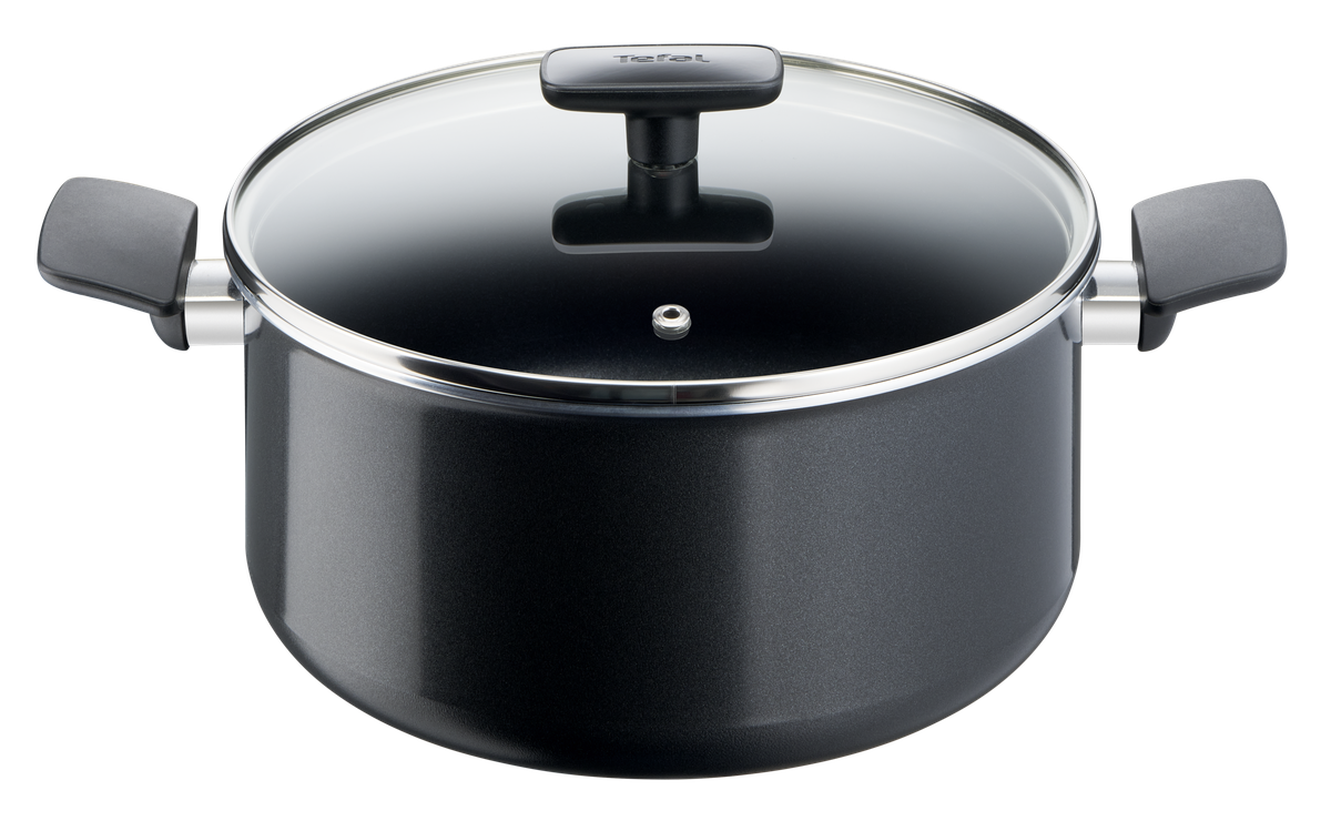 Tefal SIMPLICITY Non Stick Stewpot 24 cm Buy Online in South Africa