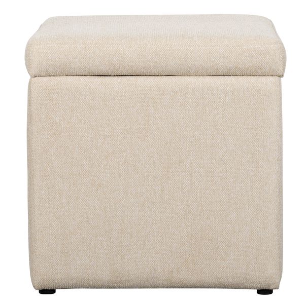George &amp; Mason -Ella Storage Ottoman