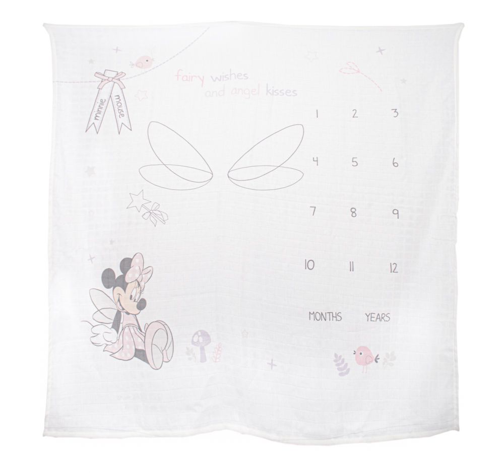 Minnie mouse milestone online blanket