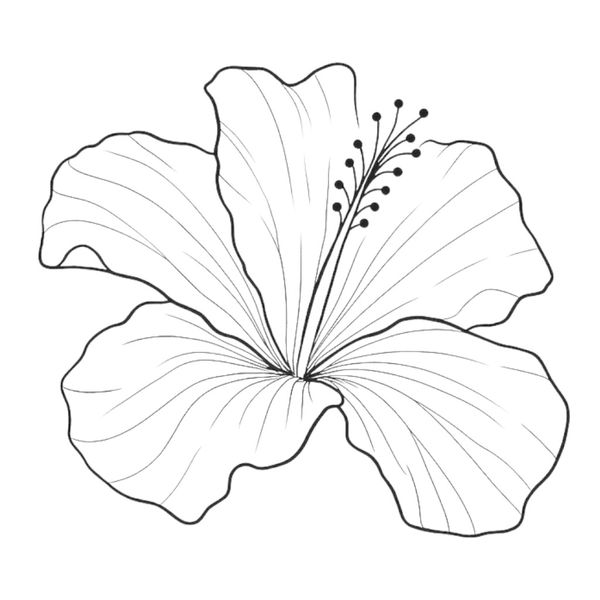 1 Kit - Elegant Hibicus Flower Temporary Tattoo - Black