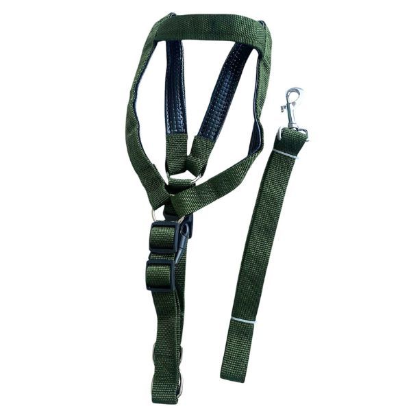 Adjustable Vest and Lead For a Medium Size Dog - Army Green or Vibrant Blue
