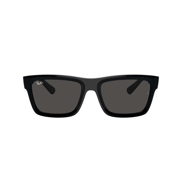Ray-Ban Warren Sunglasses RB4396 667787 57