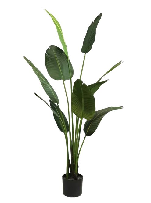 Banana Artificial Faux Plant 1,5 meters | Shop Today. Get it Tomorrow ...