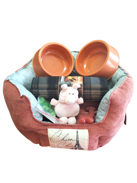 Puppy Starter Kit - Medium Breed - Orange