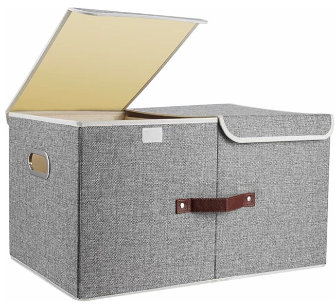 Large Storage Box with Lids and Compartments