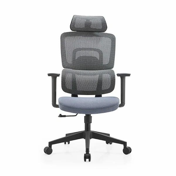Ray High Back Ergonomic Office Chair