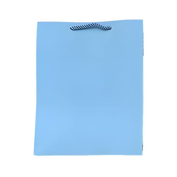 5 Pack Vibrant Colors Premium Paper Rope Handle Small Gift Bag