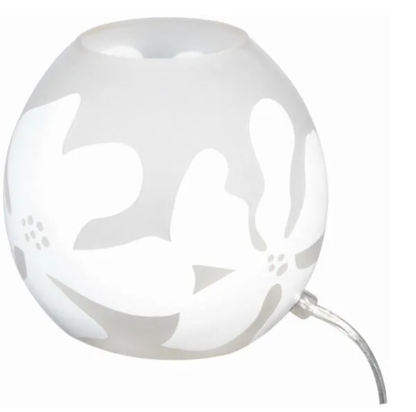 Dolan Floral Glass Desk Lamp