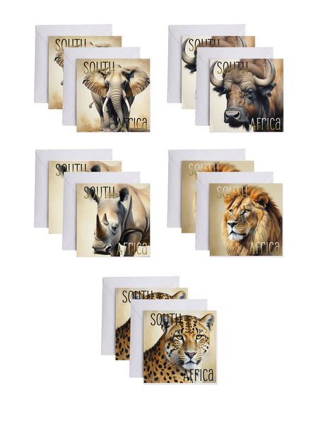 Gift Cards - South Africa - Big 5