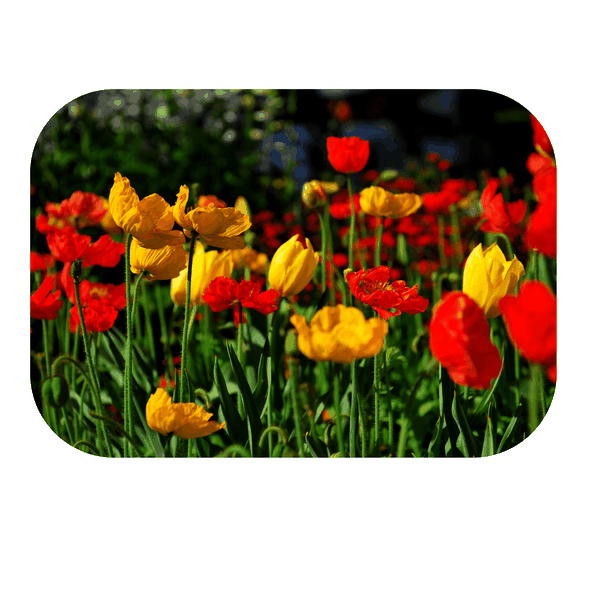 Bright Flowers Printed Mouse Pad