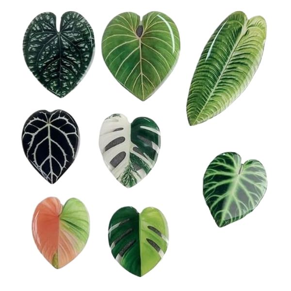 Decor Acrylic Tropical Plant Leave-Shaped Fridge Magnets Set of 8