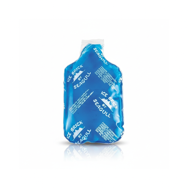 Pack of 5 Clear Plastic Ice Bricks