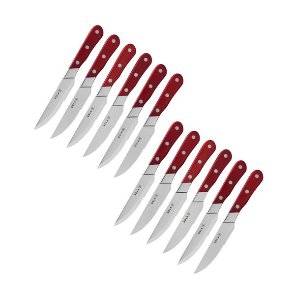 Sola Hospitality Steak Knife Wooden Handle Serrated Blade - 12 Piece Set