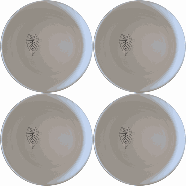 Alocasia Zebrina Bowl Set of 4 - Range 3