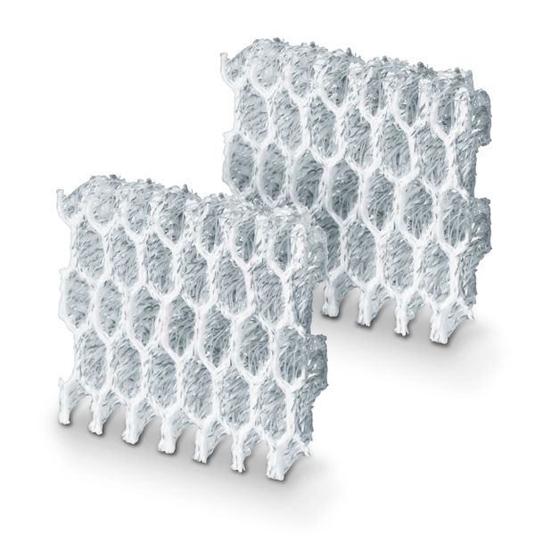 Beurer Silver Ion Pads for Air Washer LW 230 - 2 Pieces