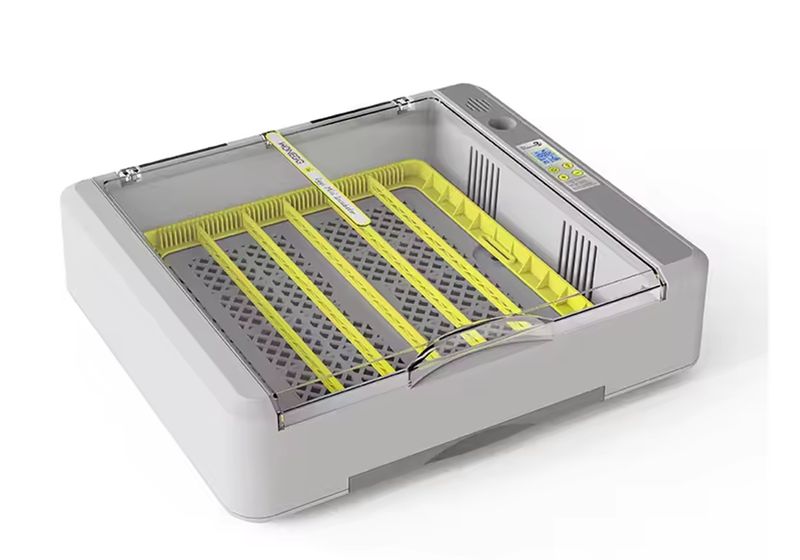 36 Egg Incubator Upgrade