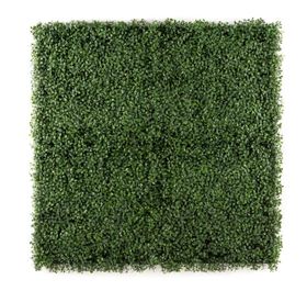 Artificial UV Protected Ivy Hedge Green Buxus - 1m x 1m | Shop Today ...