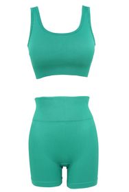 Women Seamless Workout Set Ribbed Crop Tank High Waist Short Yoga